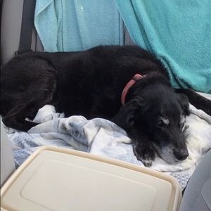 Meet your Posher, Nicholas